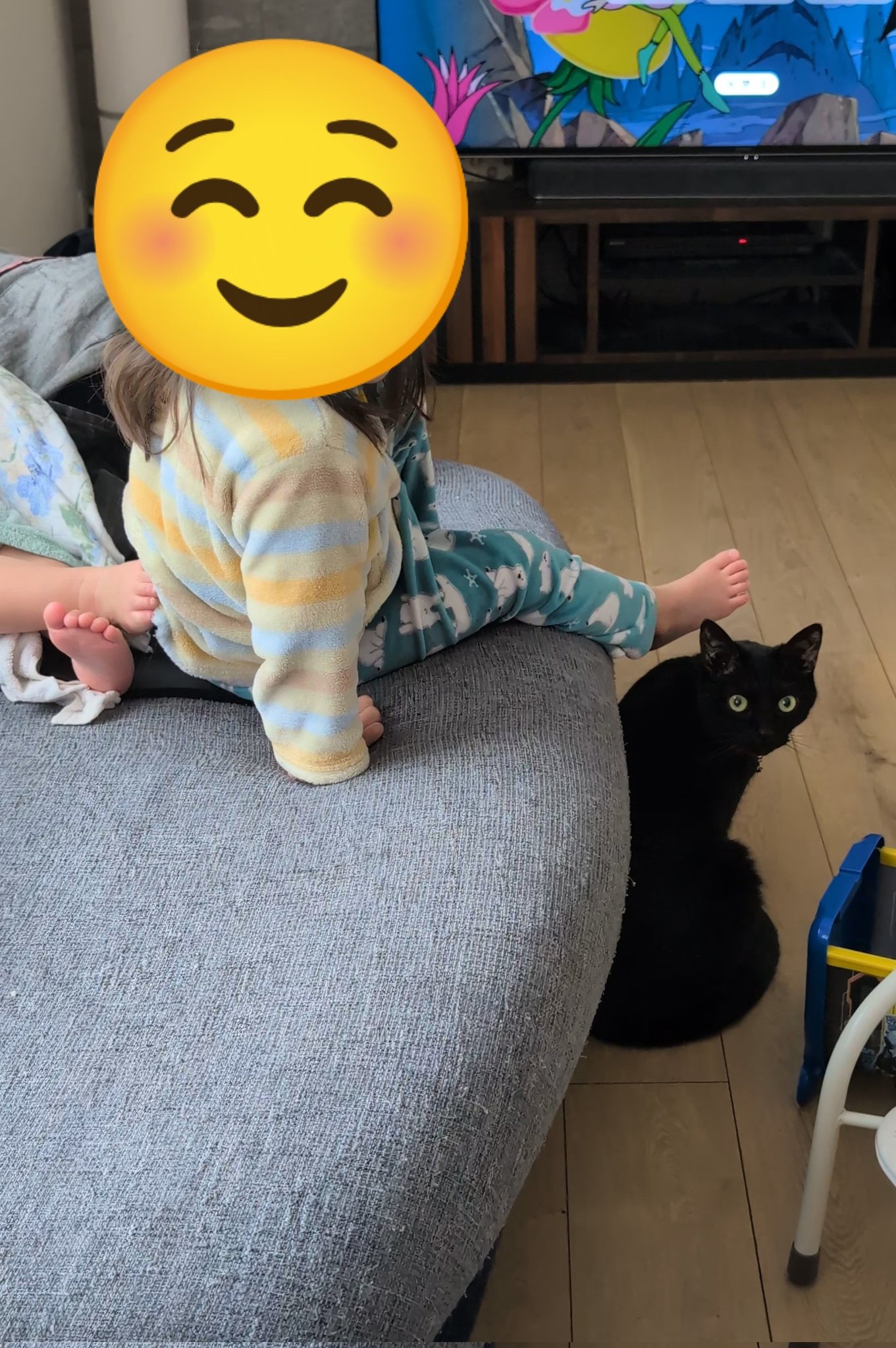 仔猫を拾ったので on X: 