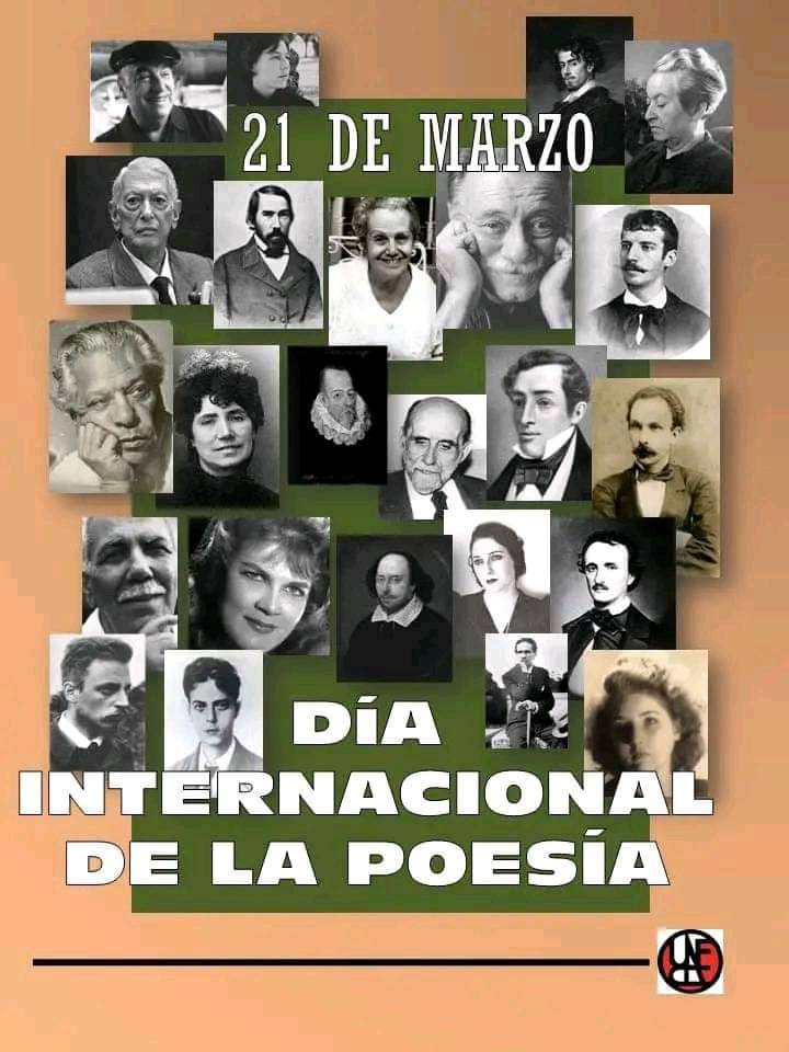 Roque Dalton
ARTE POÉTICA 1974

Poesía
Perdóname por haberte ayudado/ 
                                         a comprender
que no estás hecha solo/
                           de palabras.
