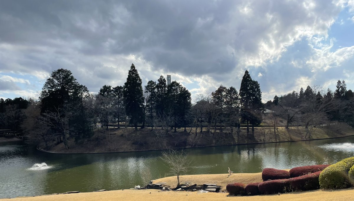 C_h_i_e_s's tweet image. 休館・移転前にと川村記念美術館へ
「ロスコ・ルーム」を見納めてきた
白鳥とシナガチョウも