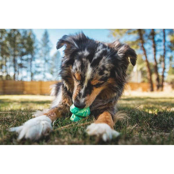 essanjay611's tweet photo. 🐕 NEW TO OUR STORE 🐕
Ruffwear,
the world’s leading outdoor dog gear brand since 1994. Premium travel and adventure products for dogs,
ensuring comfort, safety, and vehicle protection
for all outdoor-loving pet owners.
https://t.co/xLeiUMliQa https://t.co/sFnBvR89Vp