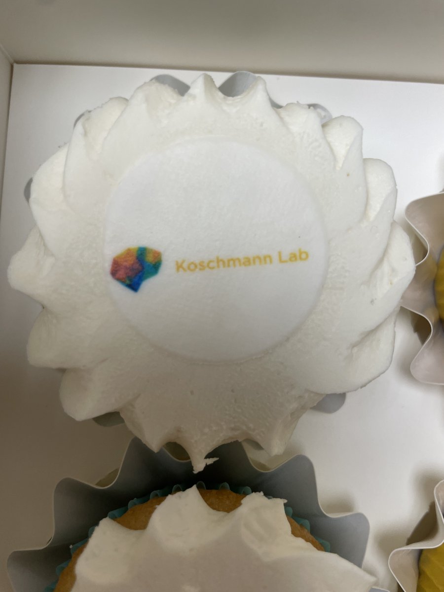 Koschmann Lab tweet media