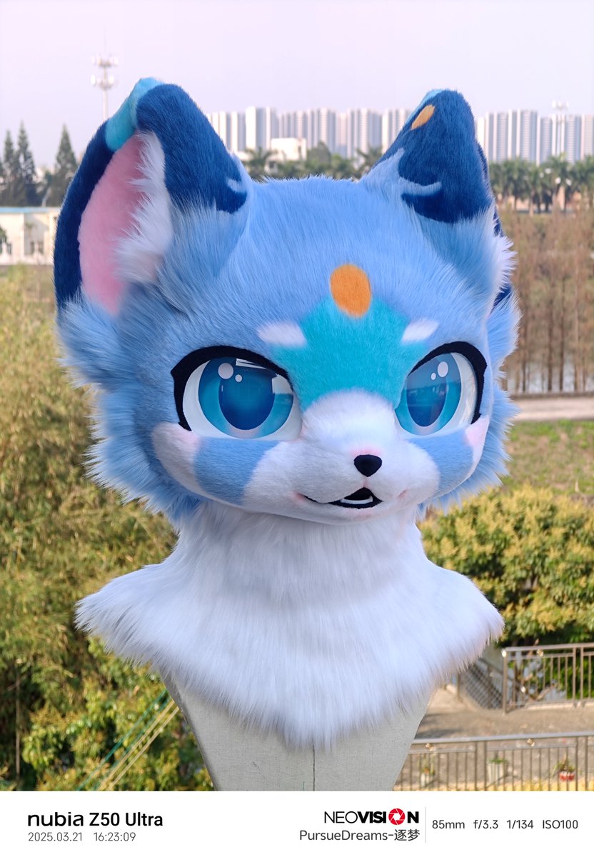 赶在（毛五）最后时间发发新做的小熊猫~