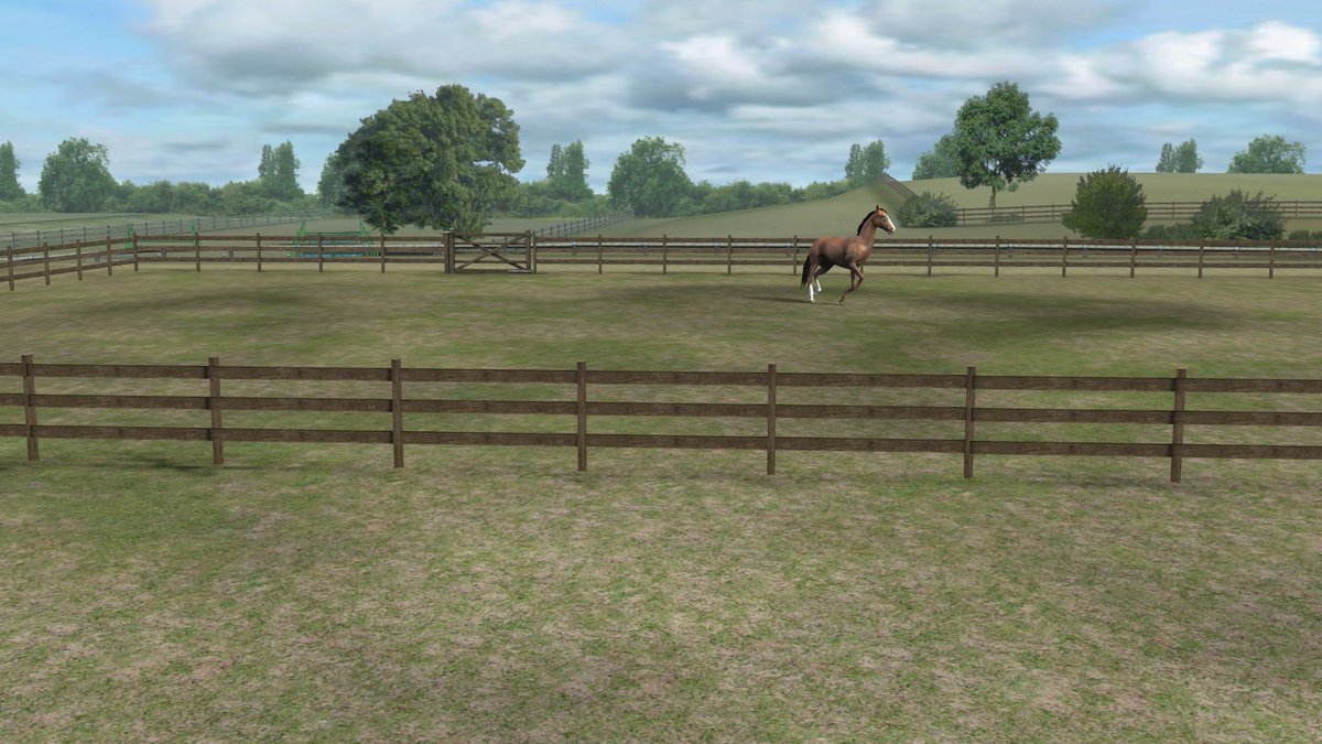 1234n902's tweet photo. Check out my photo! Add me, PeppyChips1017. #MyHorse srcteacccdcccvbugttrsqqdccf https://t.co/puE0GDLUby https://t.co/bbmgLbV0EB