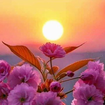 I hope your work leads to boundless success. I can't express how thankful I am for your sharing. Gary Hafter