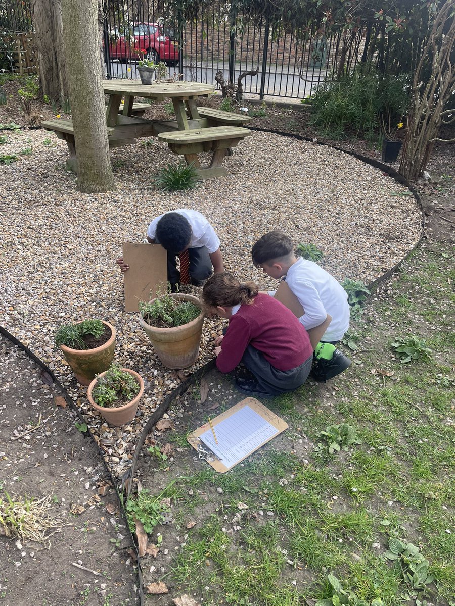 MissUnittHMPS's tweet photo. We had great fun hunting for minibeasts in the garden this afternoon. We were identifying which minibeasts lived in different microhabitats! @HerbMorrPriSch https://t.co/Ih6teBgHIj