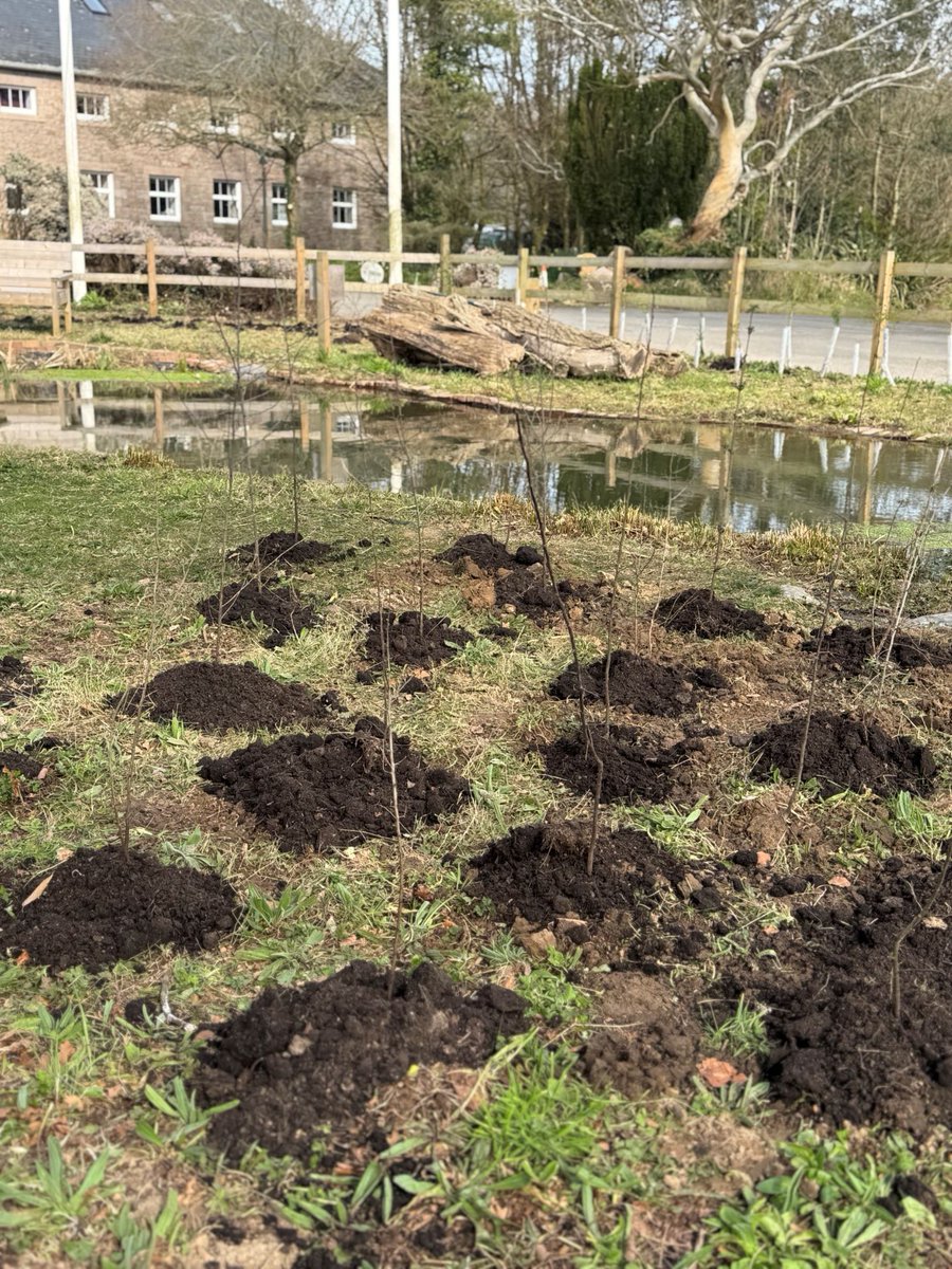 Businesses can be a force for nature! From tree planting to tackling invasive species, we’re here to help you make a positive impact. 

Yesterday, our Natural Environment team planted 405 trees, heathers, bulbs &amp; lavenders to boost biodiversity.
📩 Get in touch : ecoactive@gov.je