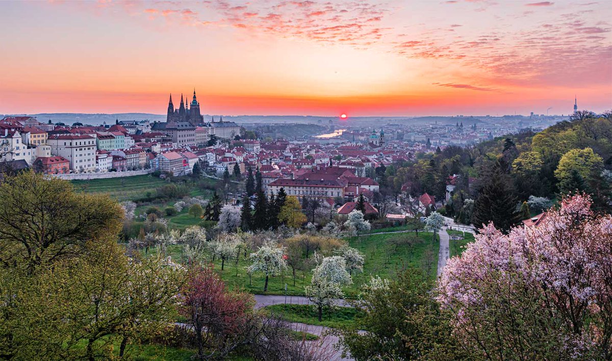 Spring in Prague – A Fairytale Awakens!

The city of a hundred spires is coming to life! From cherry blossoms in Petřín Gardens to golden sunsets over Charles Bridge, spring in Prague is pure magic.  Share your favorite spots! #SpringInPrague #MagicalMoments #PragueBeauty