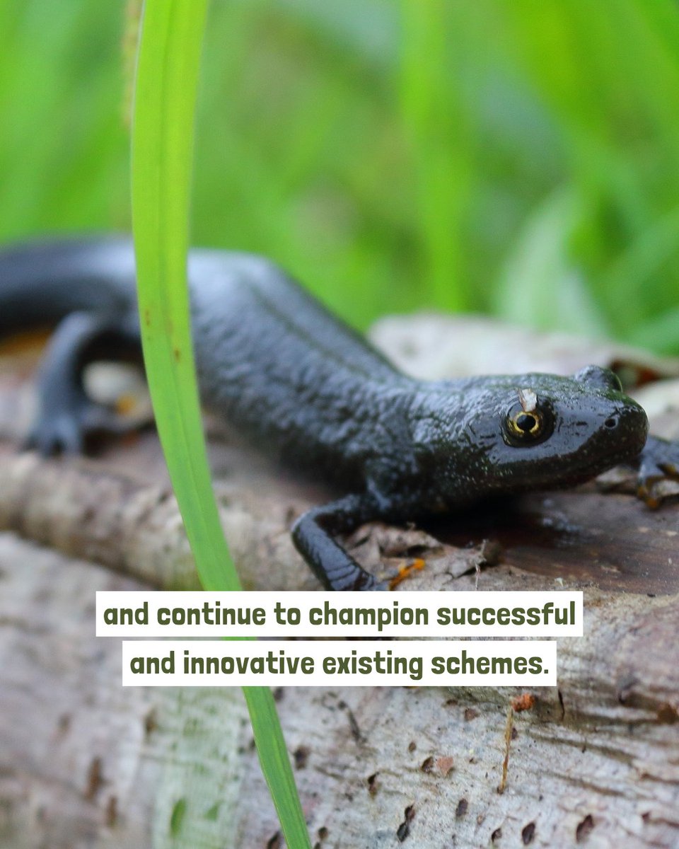 📢 The Planning and Infrastructure Bill proposes sweeping changes to the way development’s impacts on nature are assessed and mitigated.

Read our full response and what we hope to see in the Bill: freshwaterhabitats.org.uk/news/what-will…