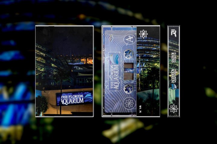 Florida Rains (@floridarains813) on Twitter photo The Florida Aquarium tapes are live over at <a href="/whitespace_av/">Whitespace</a>!
white-space.bandcamp.com/album/the-flor…
white-space.bandcamp.com/album/the-flor…
white-space.bandcamp.com/album/the-flor… The Florida Aquarium tapes are live over at <a href="/whitespace_av/">Whitespace</a>!
white-space.bandcamp.com/album/the-flor…
white-space.bandcamp.com/album/the-flor…
white-space.bandcamp.com/album/the-flor…