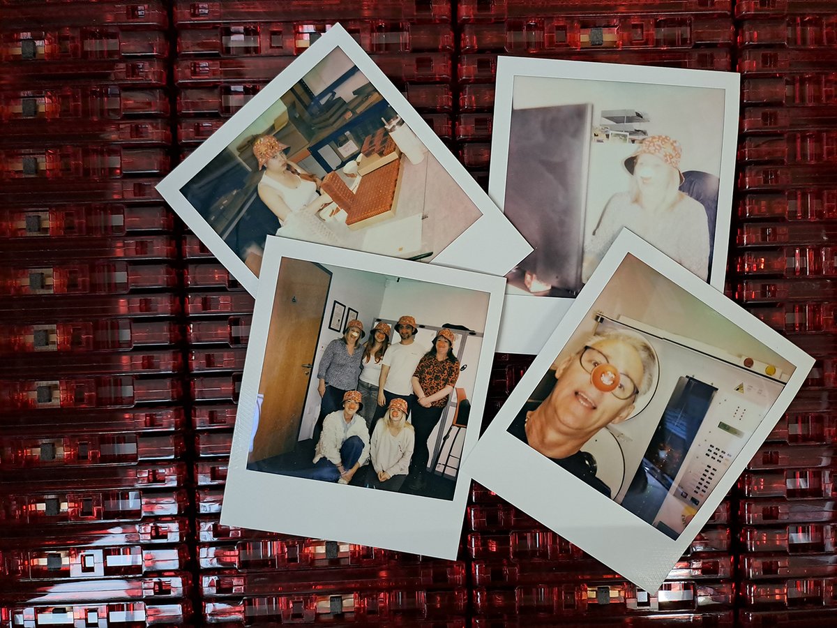 Media Duplication Ltd tweet media