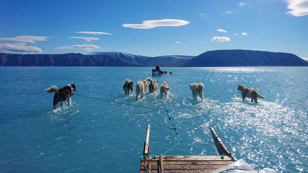 BBC Earth (@bbcearth) on Twitter photo A viral image of huskies 'walking on water' in 2019 revealed the rapidly changing face of Greenland's ice.
<a href="/BBC_Future/">BBC Future</a> has more on the story 👉 bit.ly/41N5a7r A viral image of huskies 'walking on water' in 2019 revealed the rapidly changing face of Greenland's ice.
<a href="/BBC_Future/">BBC Future</a> has more on the story 👉 bit.ly/41N5a7r
