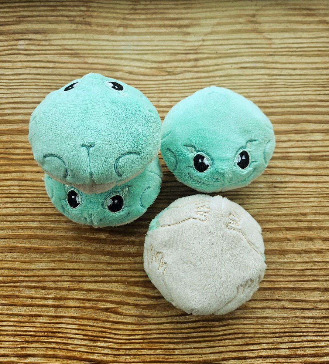plushypuppy's tweet image. Whites treefrogs and a house box are up for sale in my shop. 

The frogs are going fast 🐸