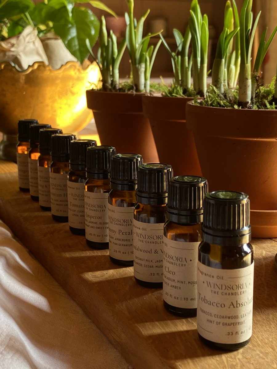 Our collection now includes fragrance and essential oils, perfect for candle making, tea lights, wax melt  and diffusers.

windsoria.co.uk/collections/ar…

#fragranceoils #essentialoils #candlemakingwindsor #waxmeltswindsoria #windsoriahomefragrance #windsoriaaromatherapy #scentedhome