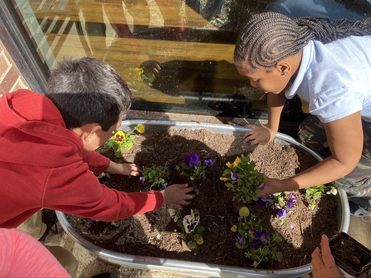 Anverly Laster, M.Ed. (@learnwithlaster) on Twitter photo 🌸🌷🌻 third graders <a href="/FullerElemAISD/">Fuller Elementary</a> are getting their hands a bit dirty by bringing life to our planters. 🌸🌷🌻 third graders <a href="/FullerElemAISD/">Fuller Elementary</a> are getting their hands a bit dirty by bringing life to our planters.