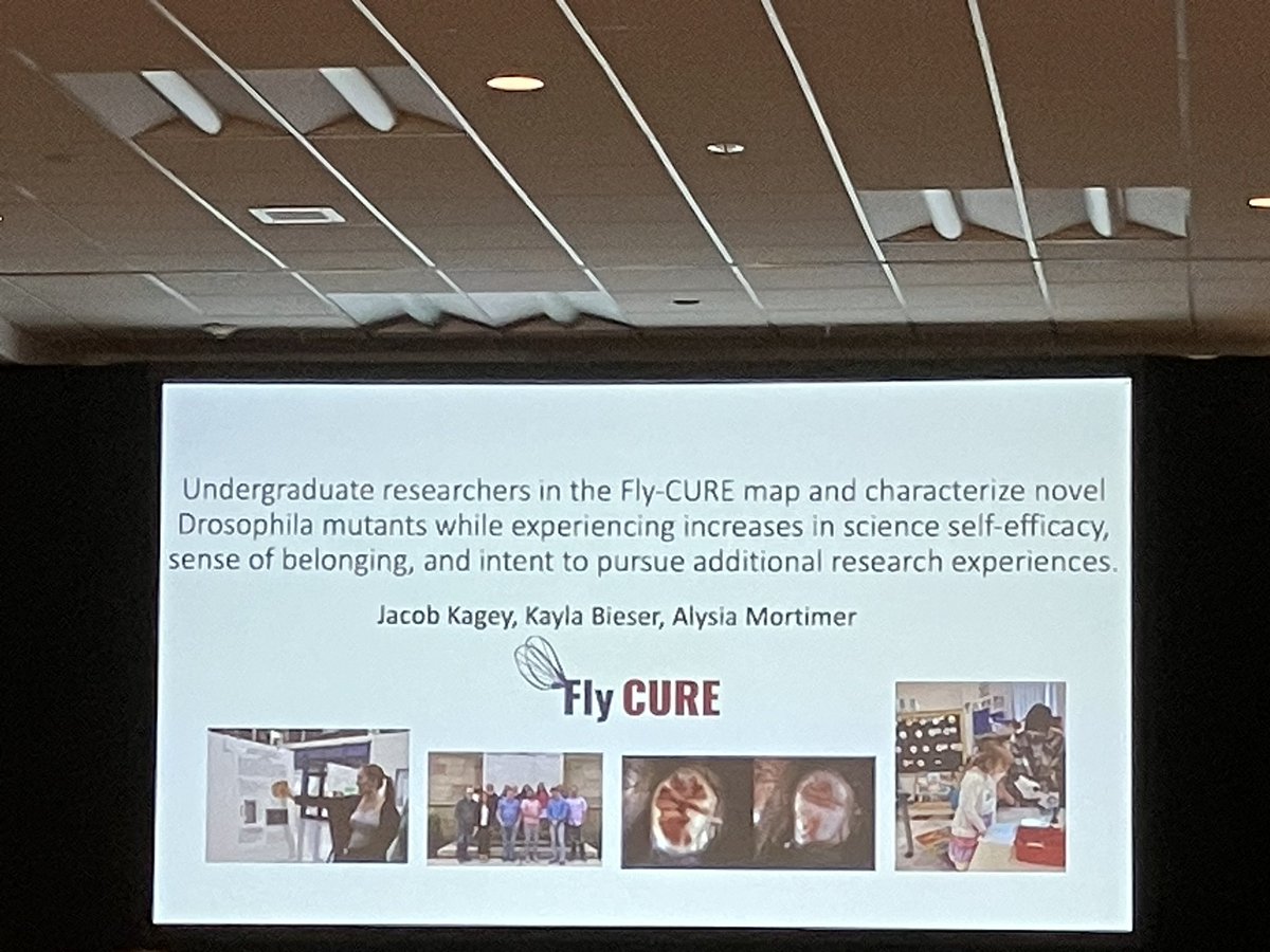 Alysia Vrailas-Mortimer tweet media