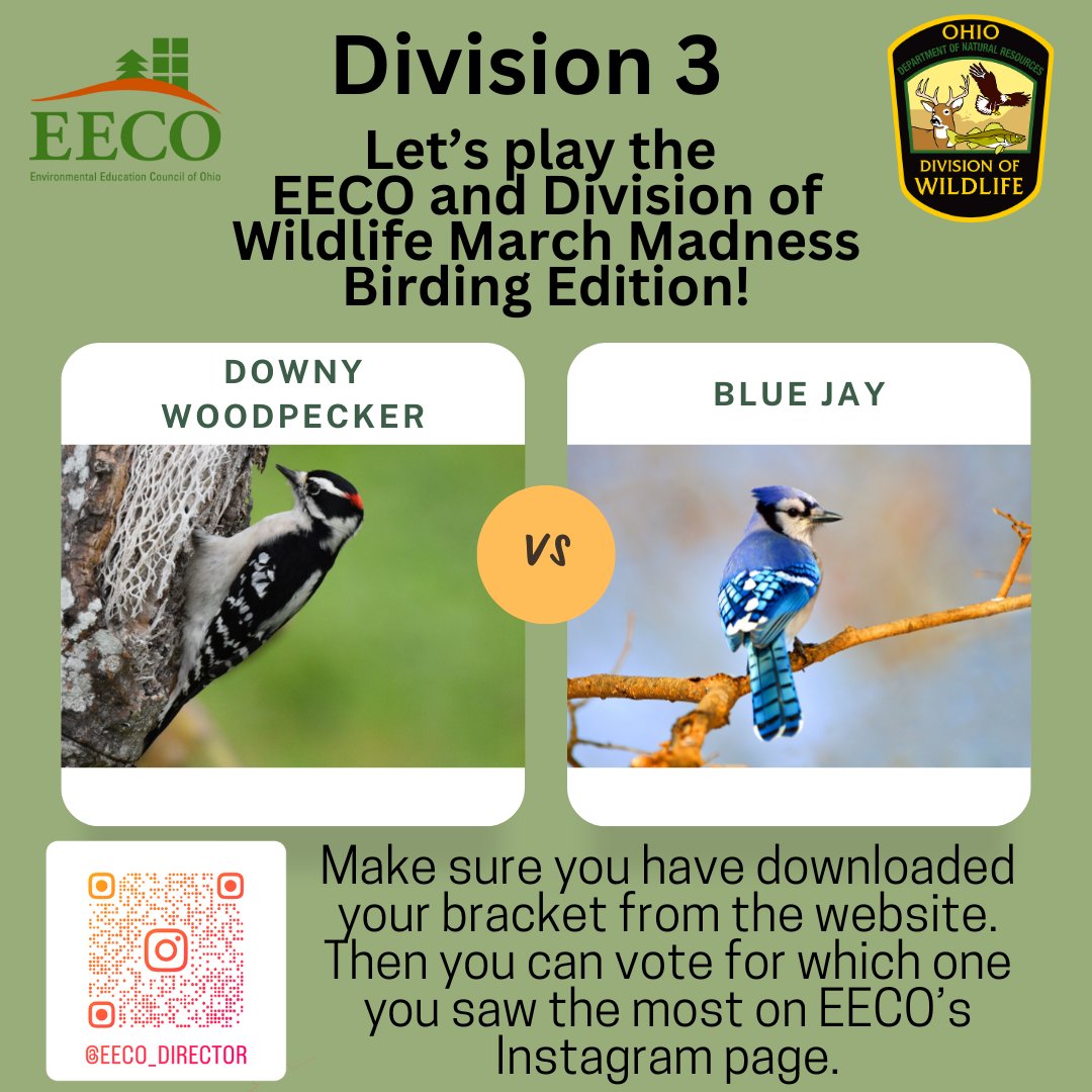 directorEECO's tweet image. Play along and let us know which bird you saw more by voting on our Instagram page. 
To learn about our March Madness Bird Brackets, go to: eeco.wildapricot.org/page-1786411

#getoutside #marchmadnessbirdbracket #BirdingFun