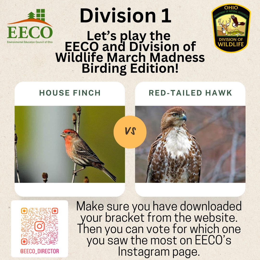 directorEECO's tweet image. Play along and let us know which bird you saw more by voting on our Instagram page. 
To learn about our March Madness Bird Brackets, go to: eeco.wildapricot.org/page-1786411

#getoutside #marchmadnessbirdbracket #BirdingFun