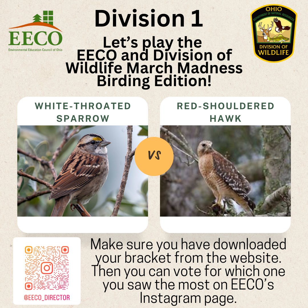 directorEECO's tweet image. Play along and let us know which bird you saw more by voting on our Instagram page. 
To learn about our March Madness Bird Brackets, go to: eeco.wildapricot.org/page-1786411

#getoutside #marchmadnessbirdbracket #BirdingFun