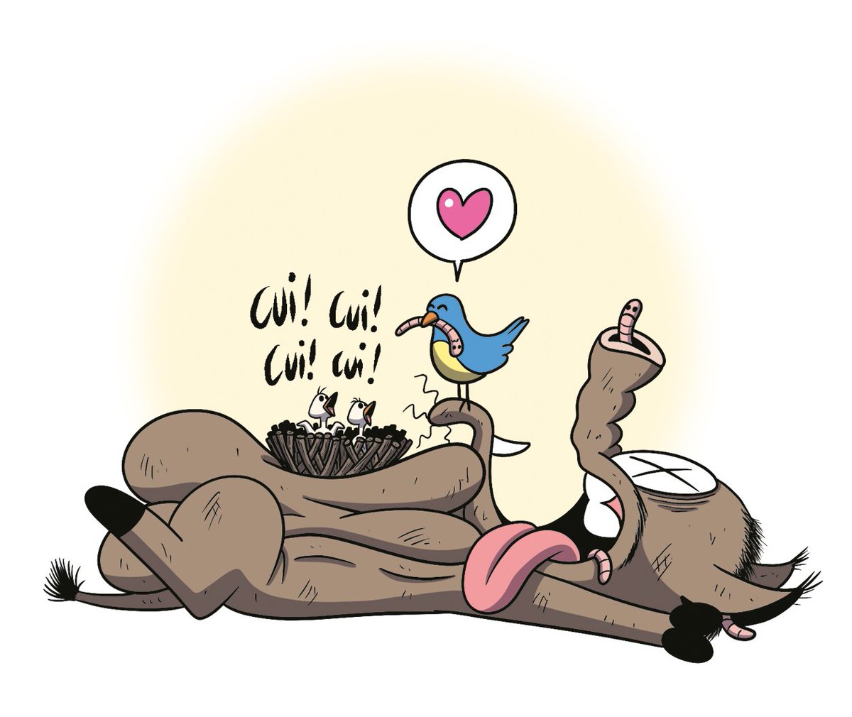 C'est le printemps, les petits oiseaux gazouillent ❤
razorbacu.com