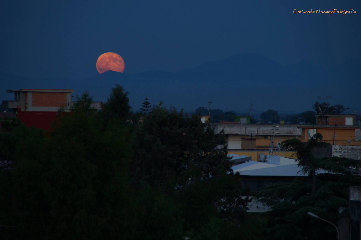 10 Haikus para el #DíaMundialdelaPoesía. <a href="/soniayanezcalvo/">Sonia</a>
La luna fría
roja como la sangre.
Noche de marzo.
 wp.me/p6batY-eFV <a href="/RevistaMoonM/">MoonMagazine</a> 
Fotografía de Cosimo Antitomaso.