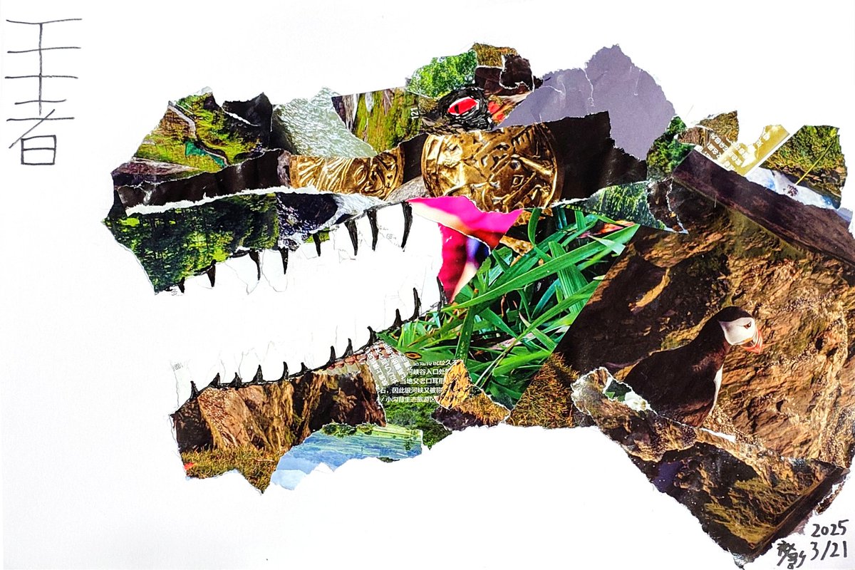 夜影（Night Shadow） tweet media