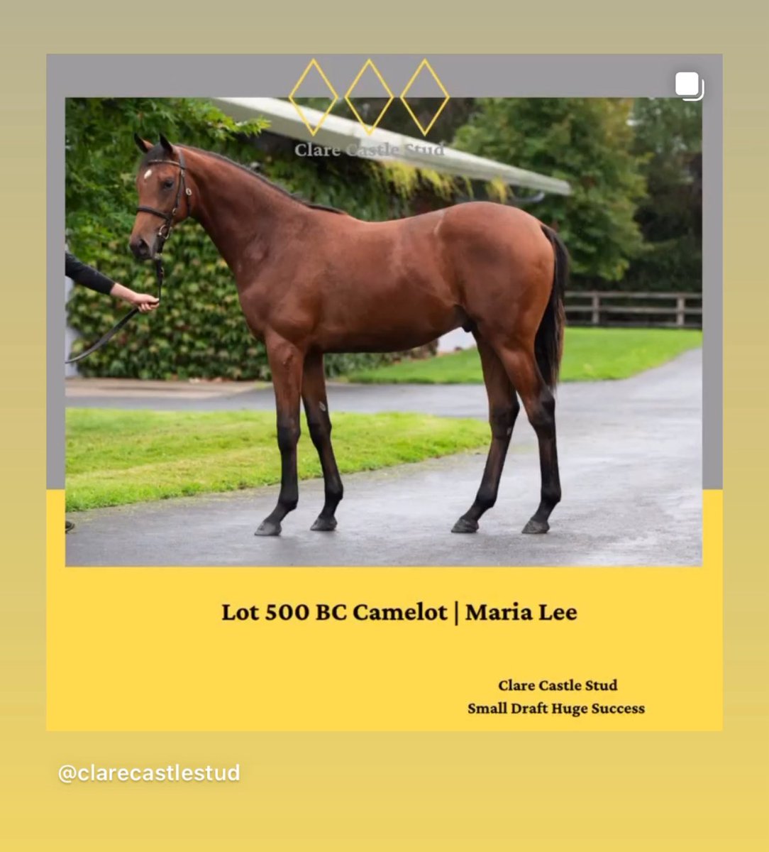 Francois Graffard trained
Beauvallon
(3yr C Camelot - Maria Lee) 
winner of trial race at Saint Cloud today for owner breeders  Paget Bloodstock /Clare Castle Stud