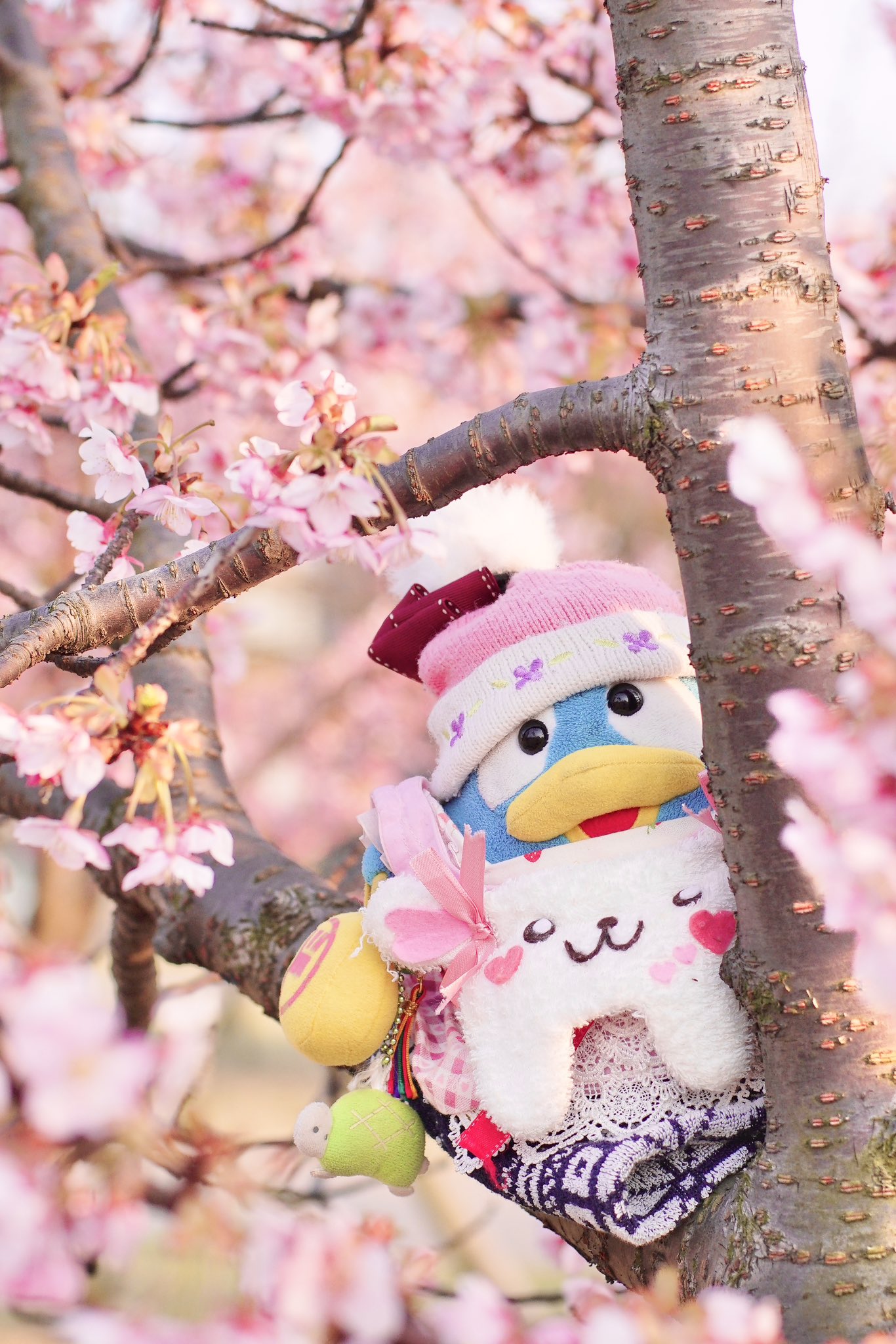 まるも (@don_don_marupen) / X まるも (@don_don_marupen) / X