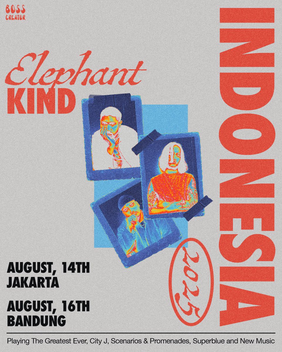 Elephant Kind tweet media