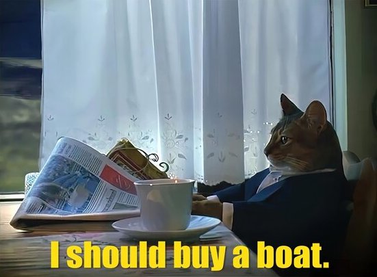 RichOrangeCat (ROC) tweet media
