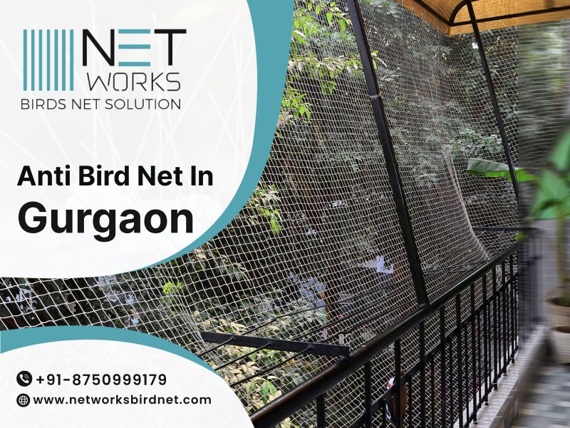 networksbirdnet's tweet image. Networks Bird Net offers high-quality anti-bird netting services to protect your property from bird-related issues.
Contact us for bird net installation in Gurgaon.
Visit: networksbirdnet.com/pigeon-net-for…
#AntiBirdNet #BirdControlGurgaon #NetworksBirdNet #BirdNettingServices #Gurgaon
