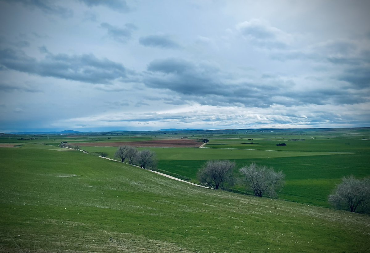 La meseta es hogar y condena. Te da el horizonte infinito y el cielo limpio, pero también el viento que azota y la soledad que pesa. Arraiga y retiene o escupe y castiga.