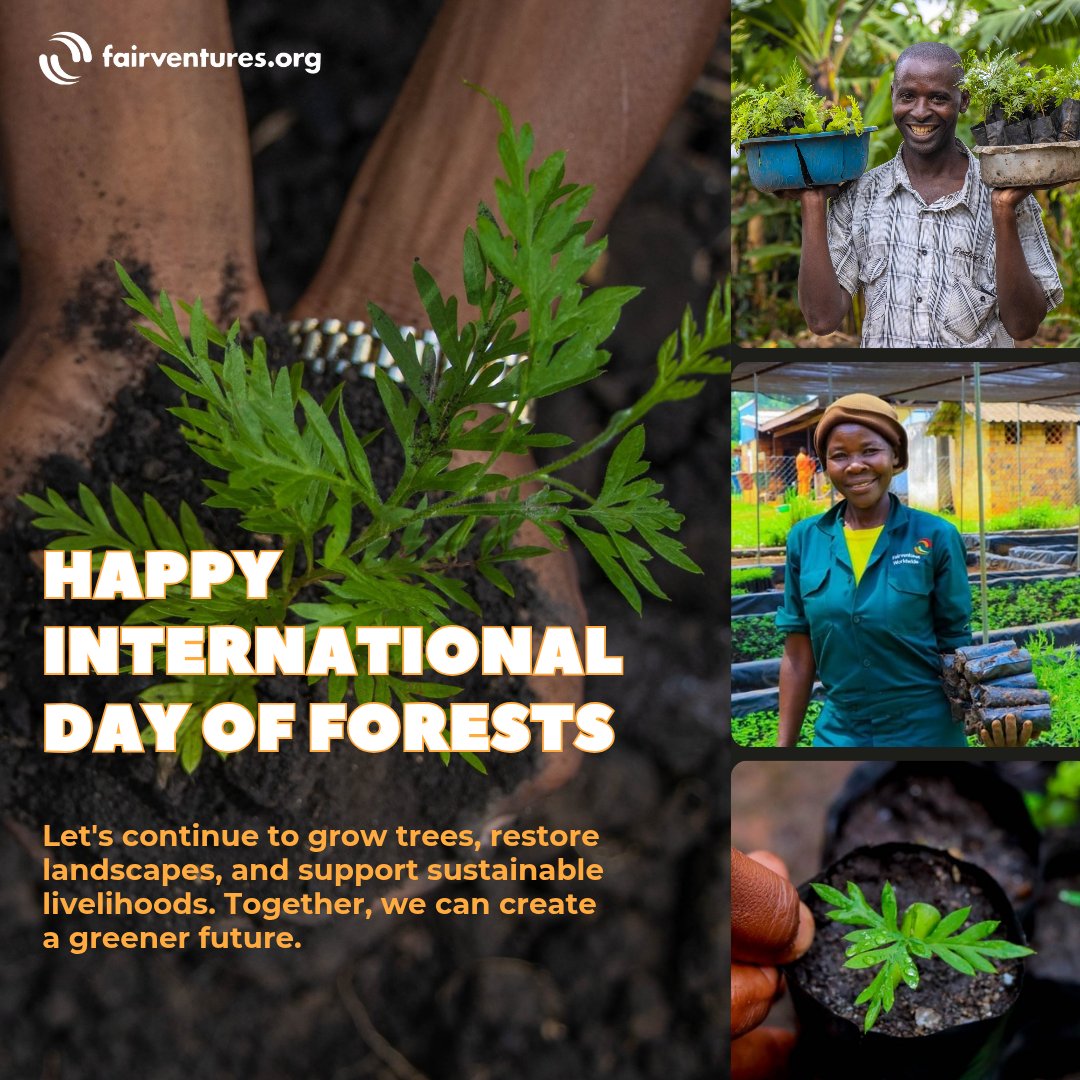 On this day, we honour the vital role that forests play in sustaining life and the environment. Our commitment to sustainable forest management and conservation ensures that these natural ecosystems continue to provide clean air, water, and a balanced climate.

#UWEWK25