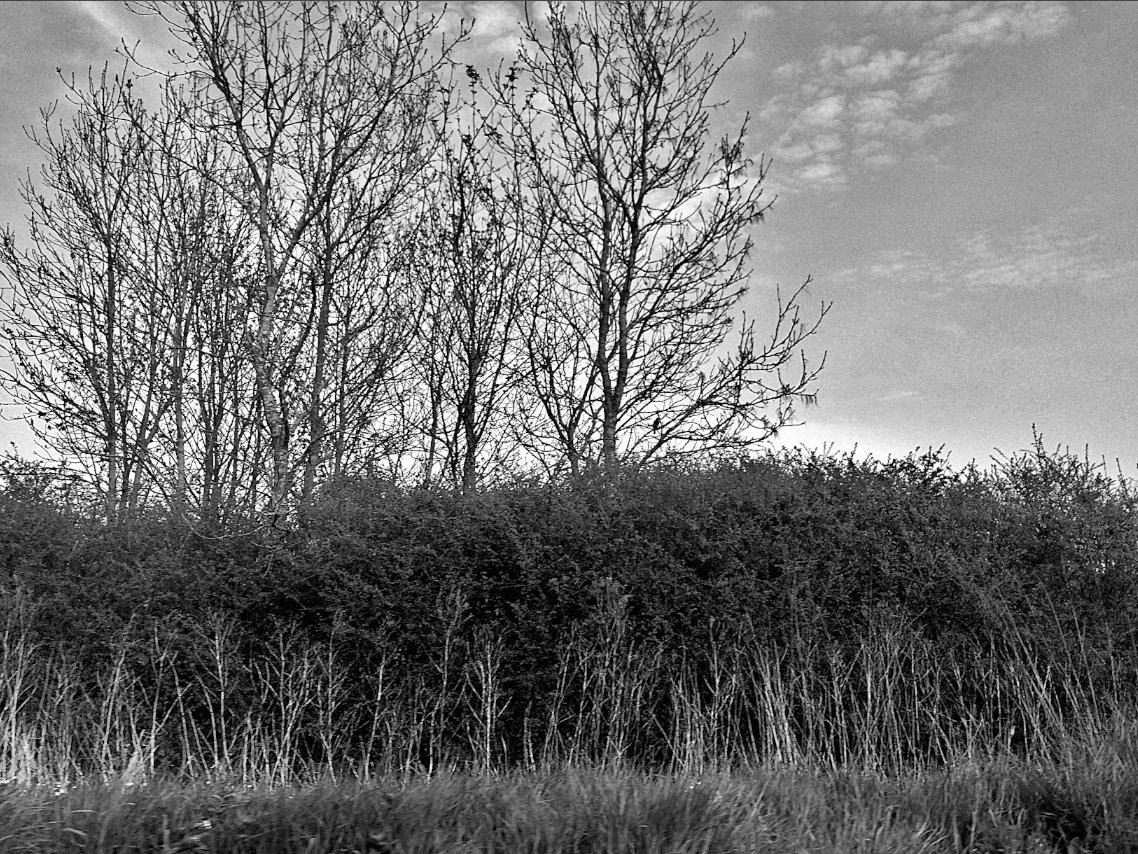 HooklandGuide's tweet photo. On maps they are marked as as tumuli, but they could be described as 'story engine' without any lie being told. For those enigmatic mounds pull tales from us. We assign them phantoms, cursed treasures. We assign them a hundred mysteries, a hundred dangerous unearthings – #CLNolan https://t.co/KApQun4rjX