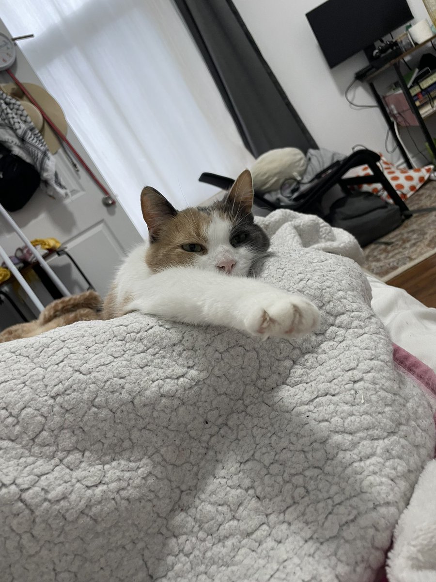 waitimplorted's tweet photo. Whats she reaching for https://t.co/WvTRcIS06C