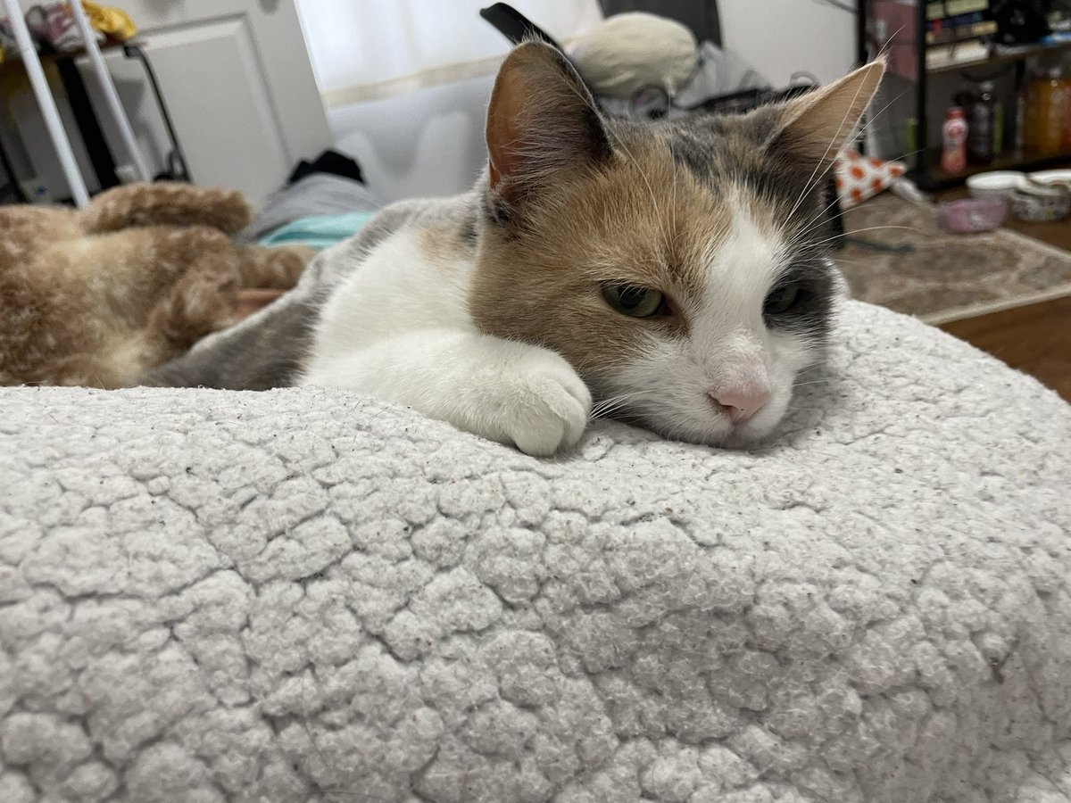 waitimplorted's tweet photo. Whats she reaching for https://t.co/WvTRcIS06C