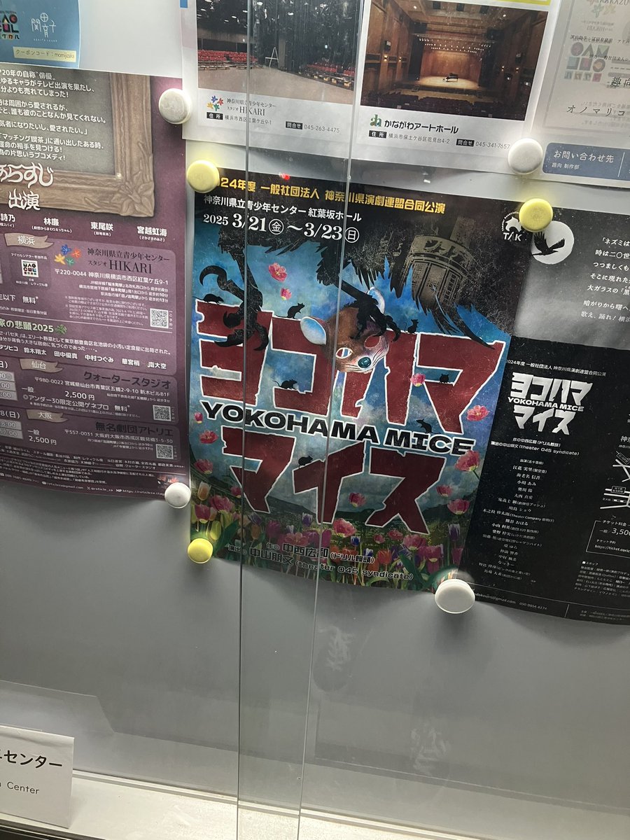 aruse_nu0123's tweet photo. 知り合いのジョニーさん出演のお芝居を見てきました。こんなに大きな舞台でやるなんてとびっくりしつつ、心温まるお話でとても良かったです✨家族の話はグッと来ますね☺️
ジョニーさんも良い感じにハマってる役で、とってもよかった✨
#ヨコハママイス https://t.co/osiWM82EAb