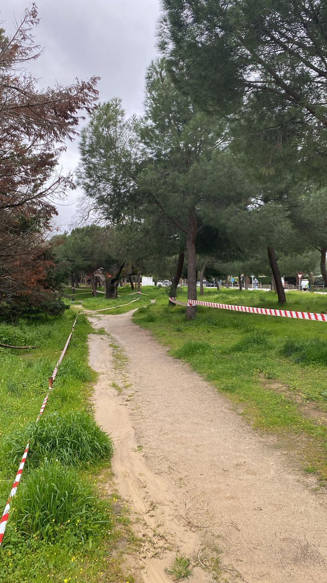 ¡Últimas revisiones del recorrido para empezar con fuerza el Campeonato de Campo a Través! 🙌🏻

🏃🏻 🏃🏻‍♀️ Los deportistas universitarios se están preparando para recorrer sus 8km, en el caso de la prueba masculina, y 7km en la femenina. 

ℹ️ Más información: ceusmadrid2025.es/wp-content/upl…