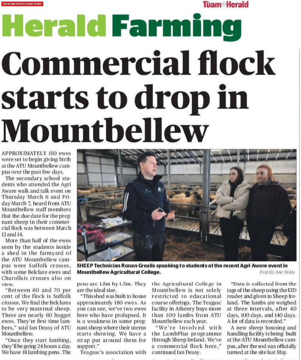 Mountbellew Agricultural College ๐๐๐๐๐ฒ (@mountbellewagri) on Twitter photo A great spread in this week's <a href="/TuamHerald/">Tuam Herald</a> on our recent open days and the start of the lambing season! ๐๐ฐ
If you would like any more details on our programmes, please be sure to contact us at:
admissions@mountbellewac.ie
or, โ๏ธ 09096 79205 or visit
mountbellewagri.ie A great spread in this week's <a href="/TuamHerald/">Tuam Herald</a> on our recent open days and the start of the lambing season! ๐๐ฐ
If you would like any more details on our programmes, please be sure to contact us at:
admissions@mountbellewac.ie
or, โ๏ธ 09096 79205 or visit
mountbellewagri.ie