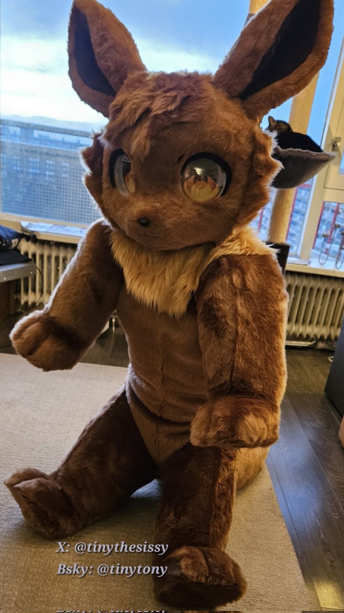 LOOK!! It is a wild eevee, better be fast to catch it. 
#bitchsuit #fursuit #FursuitsFriday 
Suit by: <a href="/FurTasyWorkshop/">Pocky→commission→Open</a>