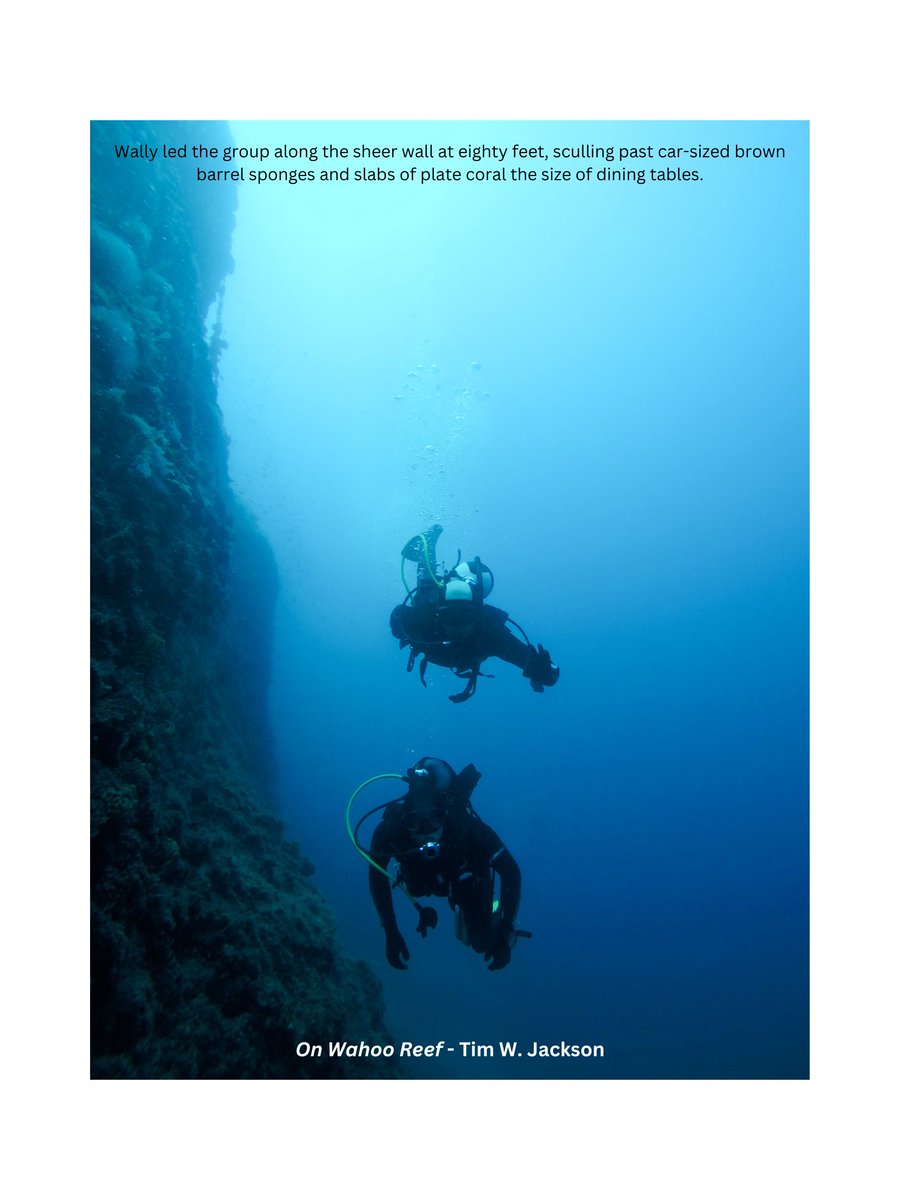 Tim W. Jackson tweet media