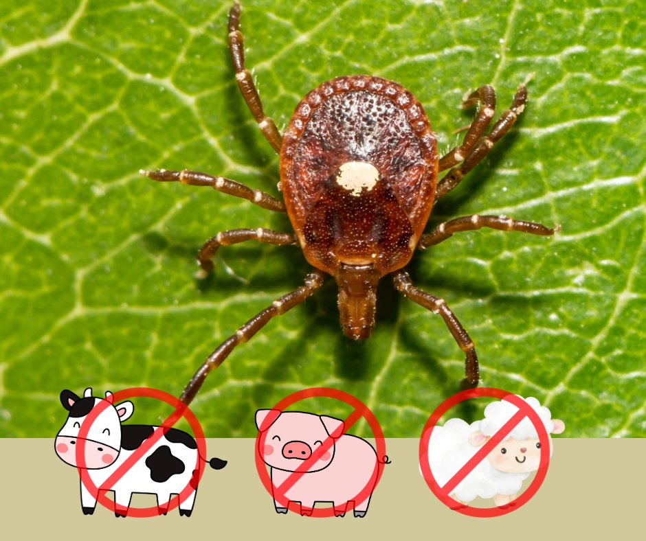 Sage Scott tweet media