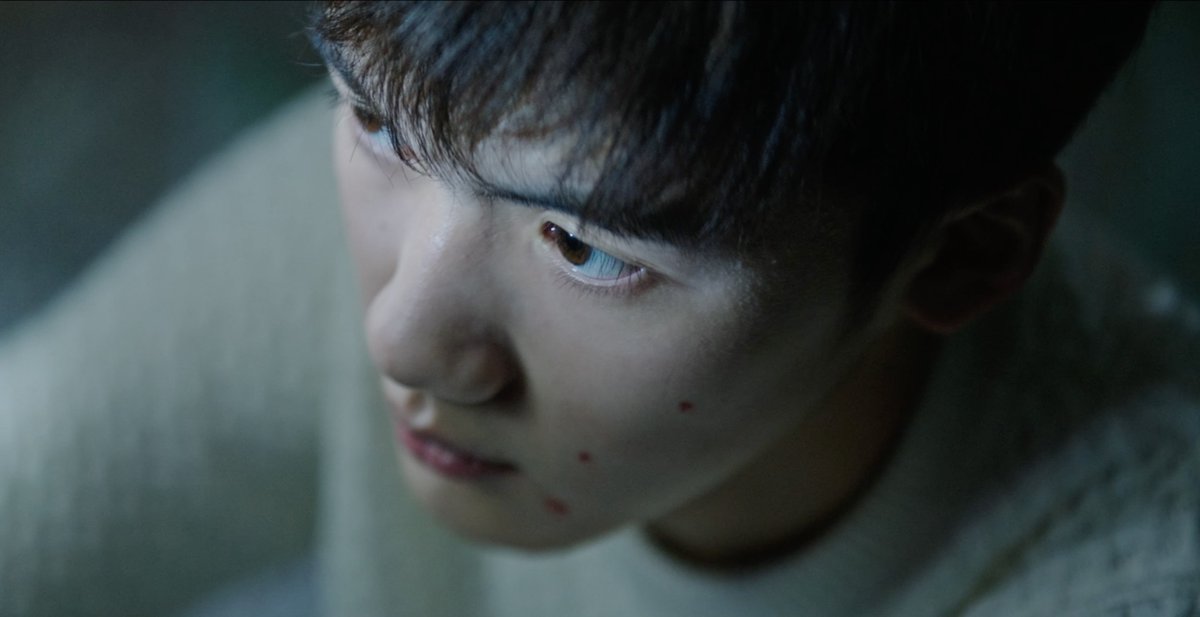 Picturehouse at FACT tweet media