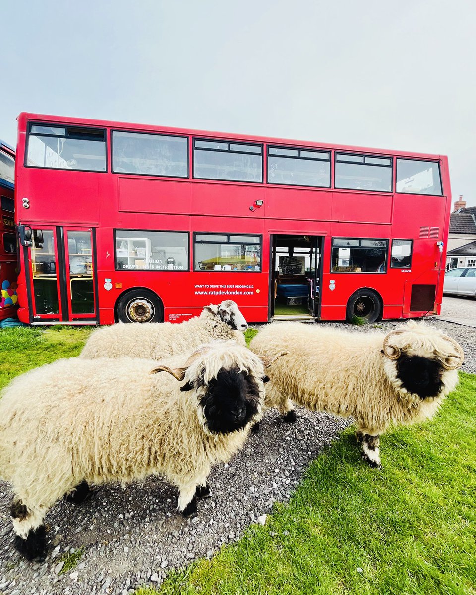 RhythmicalMike (@rhythmicalmike) on Twitter photo Name that album cover š <a href="/TheOldFarmBus1/">The Old Farm Bus</a> Name that album cover š <a href="/TheOldFarmBus1/">The Old Farm Bus</a>