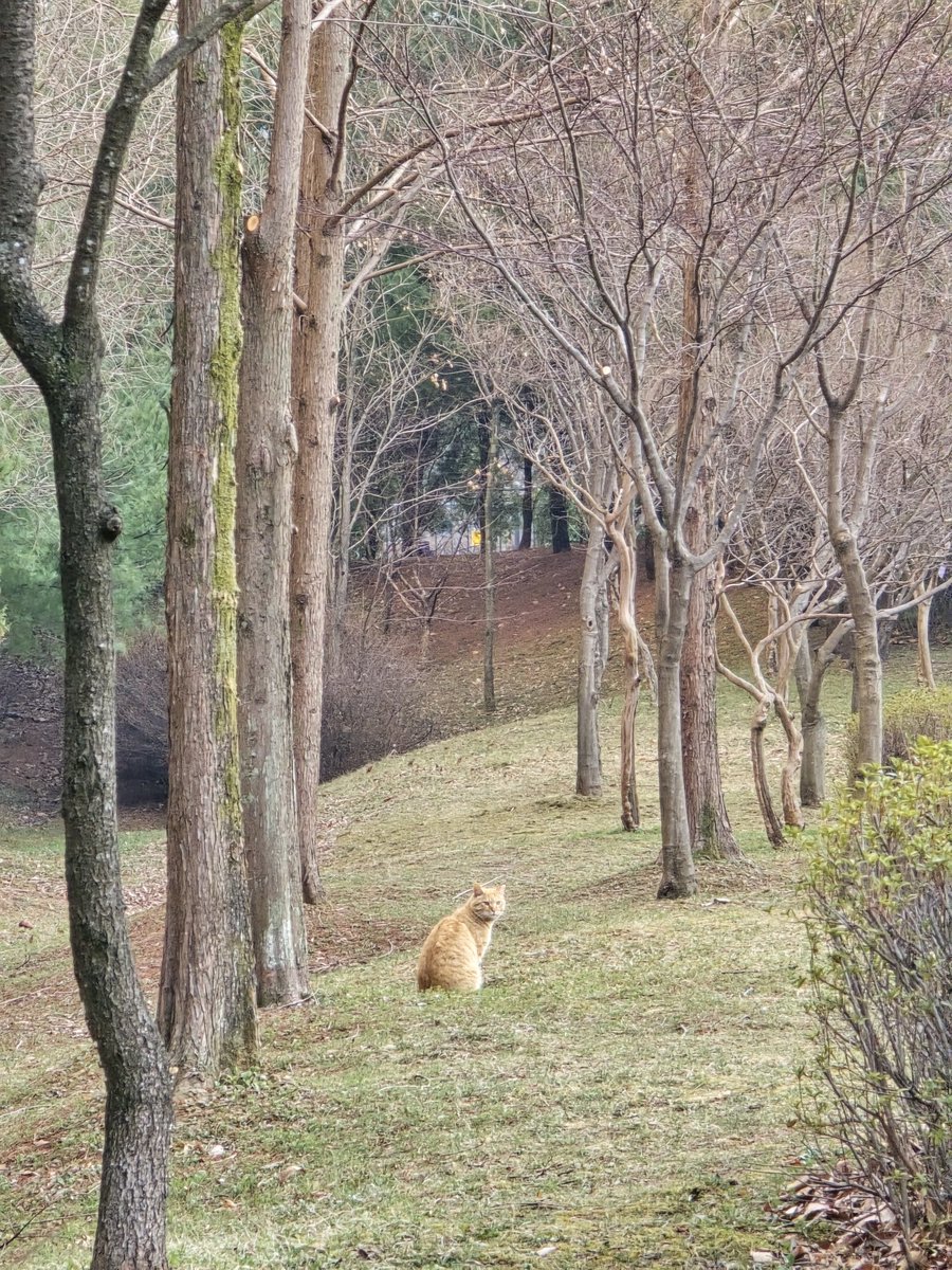 "고양아!"하고 불렀다.