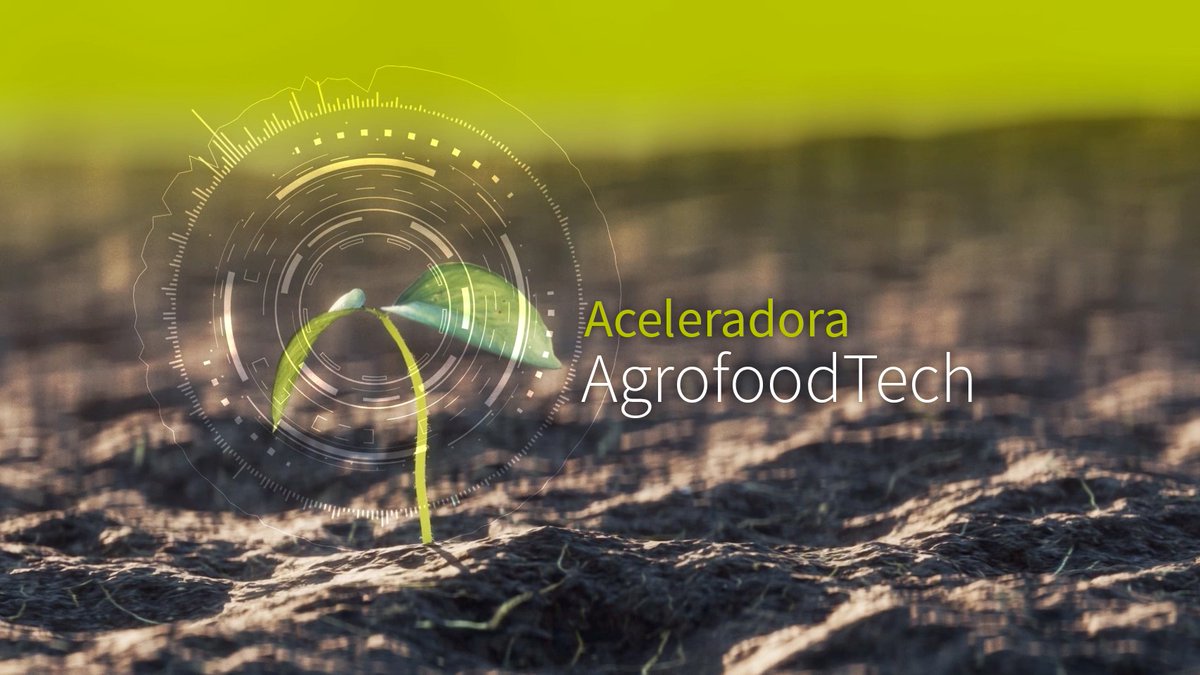 🚀🌱 La Aceleradora AGROFOODTech de CEIN abre una nueva edición para impulsar nuevos proyectos empresariales en el sector agroalimentario. La participación en este programa, que cumple su cuarta edición, está abierta a proyectos empresariales que no estén todavía constituidos