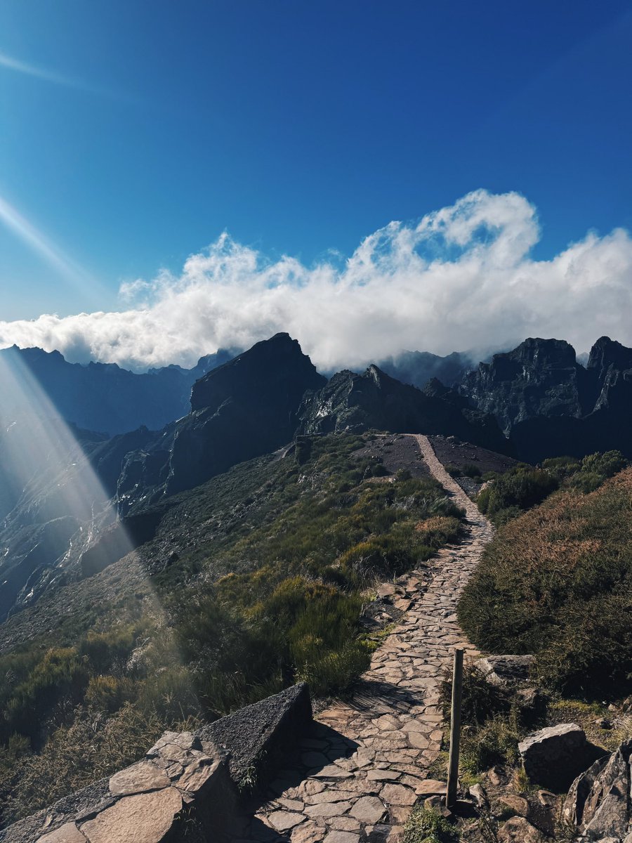 Tim Hyde tweet media