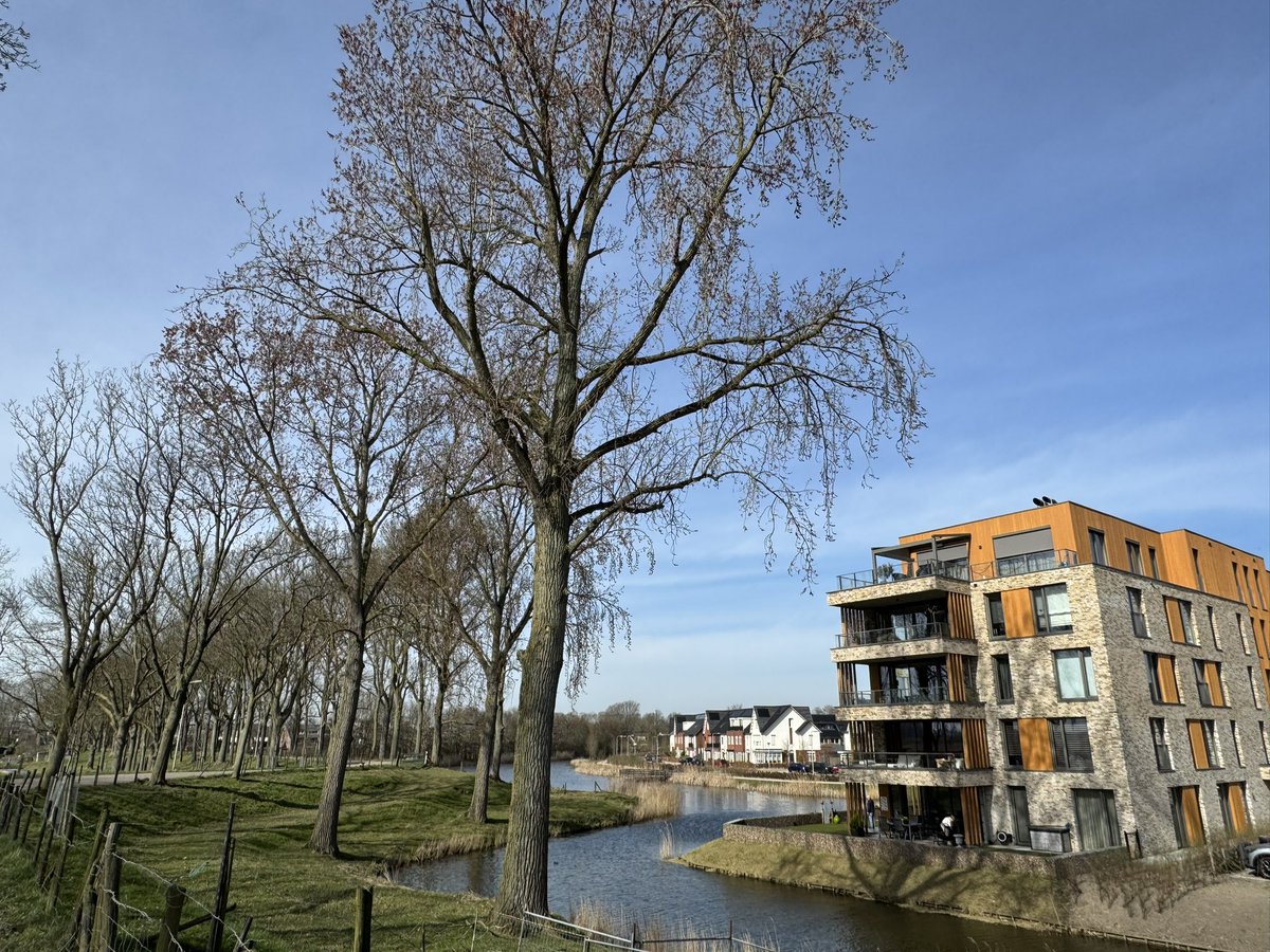 Vandaag bezocht ik de mooie groene gemeente <a href="/ALBRANDSWAARDzh/">gem. Albrandswaard</a> ten zuiden van Rotterdam, bestaande uit de dorpen Rhoon en Poortugaal én de nieuwe wijk Portland. Burgemeester <a href="/JolandaDeWitte/">Jolanda de Witte</a> nam me mee op de fiets. We bezochten oa het Buijtenland van Rhoon (natuurinclusieve