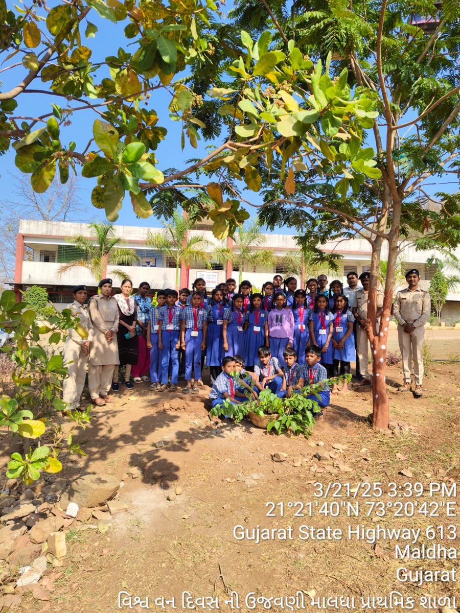 Surat Forest Circle tweet media