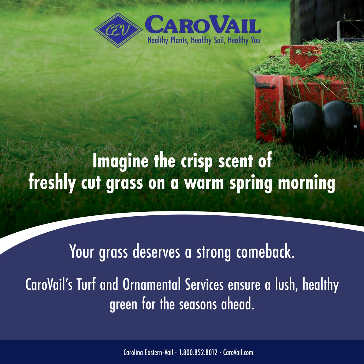 CaroVail's tweet photo. The Ultimate Comeback: Lush, Green Grass!

Winter is temporary, but a vibrant lawn lasts all season. CaroVail’s Turf and Ornamental Services will help your turf make a strong comeback this spring!

Start your care plan today! Call CaroVail at 1.800.852.8012! https://t.co/yWqe0uLH3V