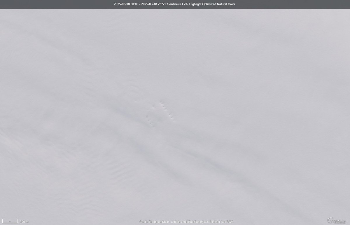 András Zlinszky @azlinszky.bsky.social (@azlinszky) on Twitter photo Smile, <a href="/egripcamp/">EastGRIP Camp</a>, you are on camera! Sentinel-2, 18.03.2025 link.dataspace.copernicus.eu/l90z Smile, <a href="/egripcamp/">EastGRIP Camp</a>, you are on camera! Sentinel-2, 18.03.2025 link.dataspace.copernicus.eu/l90z